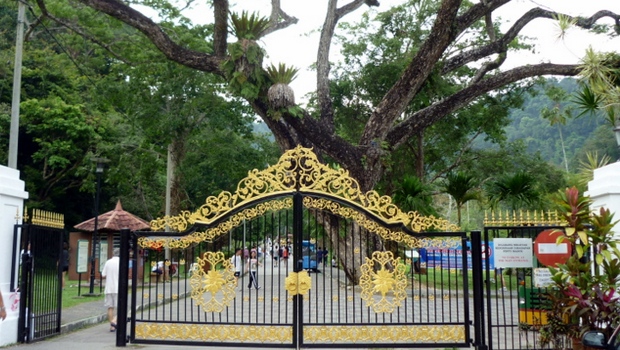 Penang Botanical Gardens Gopenang